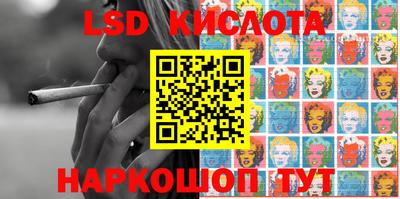 шишки Краснодар