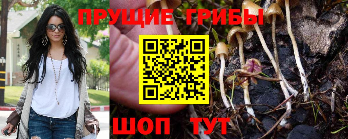 Псилоцибиновые грибы ЛСД  Псилоцибиновые грибы Psilocybine cubensis  Шебекино  Вход с VPN 
